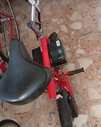 bici di babbo natale