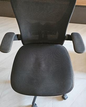 sedia da ufficio