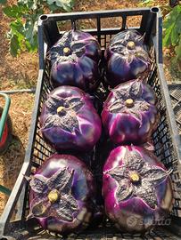 Negozio frutta e verdura