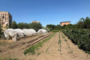 TER. RESIDENZIALE A AFRAGOLA