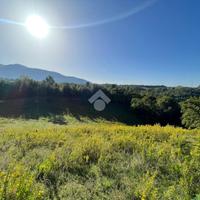 TER. AGRICOLO A MONTASOLA