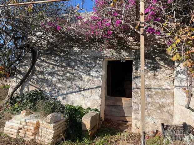 TER. AGRICOLO A POLIGNANO A MARE