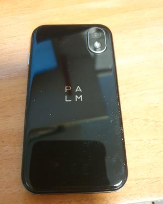 Palm phone pvg 100