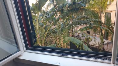 Camporeale Dante esavani per B&B accetto permuta