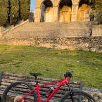 Scott scale  980 M 2023