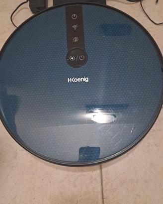 Lavaspira pavimenti Hkoenig