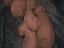 Immagine 3