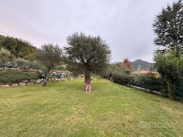 Salo' san michele terreno non edificabile