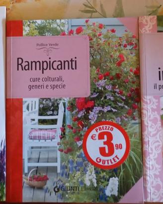 Conoscere le piante... Rampicanti,Piante in salute