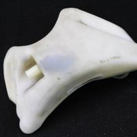 Vaschetta acqua superiore Ducati 748 916 996 998