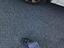 Immagine 13