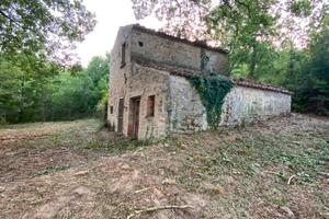 MASSERIA CON QUERCIA SECOLARE E POZZO ARTESIANO