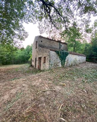 MASSERIA CON QUERCIA SECOLARE E POZZO ARTESIANO