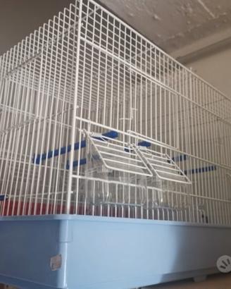 Gabbie per canarini
