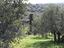 Immagine 21