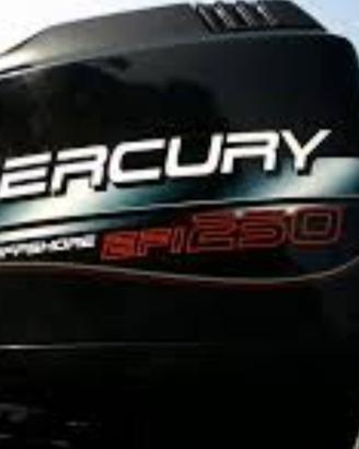 Mercury EFI 250 Tutti i Ricambi