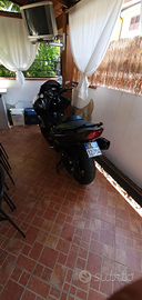 T max 500 del 2009