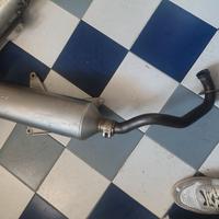 Marotta omologata leovince