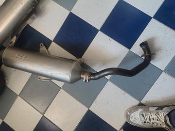 Marotta omologata leovince