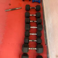 Pesi palestra