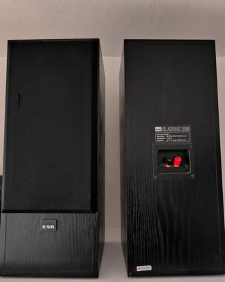 Coppia altoparlanti EBS - speaker alta qualità 