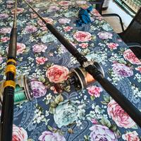 Canne big game altura penn trabucco
