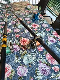 Canne big game altura penn trabucco