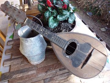 mandolino Monzino da restaurare liuteria