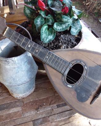 mandolino Monzino da restaurare liuteria