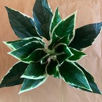Pianta, artificiale