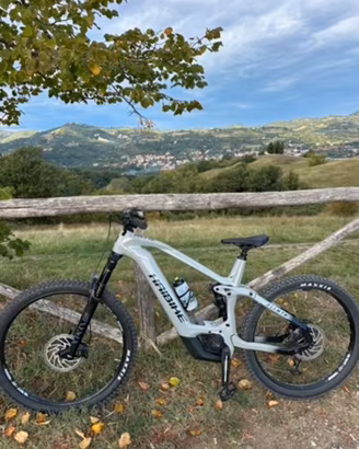 Ebike haibike allmtn cf 9