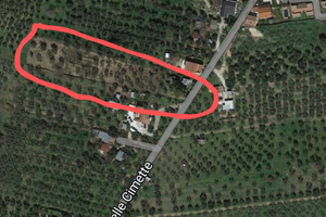 Borgo quinzio (Rieti)