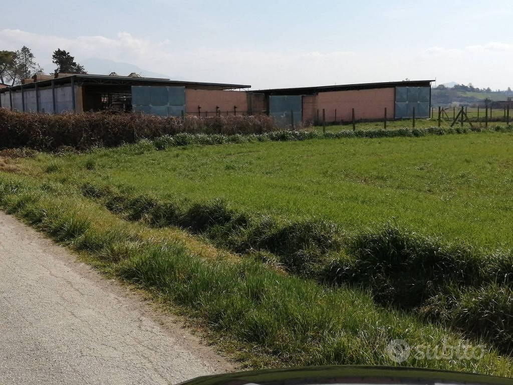 Terreno di 230000 m² a Montelibretti - Vista 2