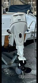 Motore nautico 40cv evinrude