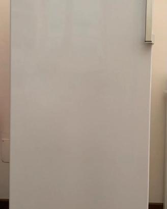 Congelatore Indesit