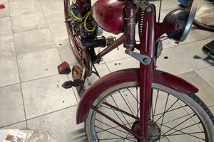 Aquilotto bianchi 48