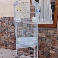 gabbia per pappagalli 