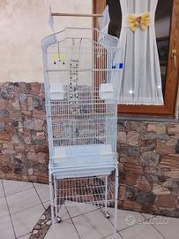 gabbia per pappagalli 
