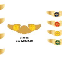 Ali Guida Brevetto Guida Veloce il Primo Specifico