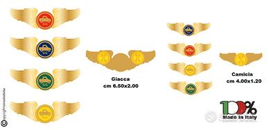 Ali Guida Brevetto Guida Veloce il Primo Specifico