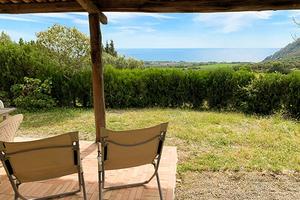 Villetta tra gli olivi vista mare