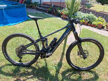 orbea wild 