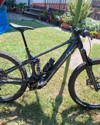 orbea wild 