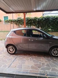 lancia y 
