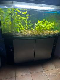 Acquario ad angolo con mobile