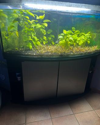 Acquario ad angolo con mobile