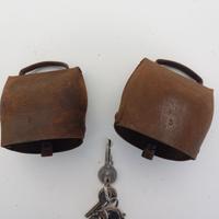 campane per pecore/capre