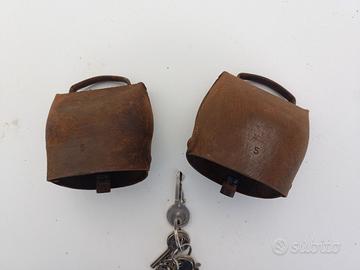 campane per pecore/capre