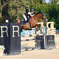 Cavalla da salto, 2010, 163cm al garrese