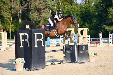 Cavalla da salto, 2010, 163cm al garrese